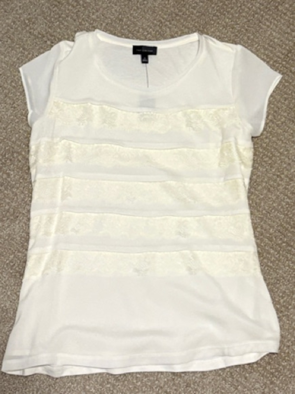 The Limited Cream Lace-Striped Short Sleeve Top